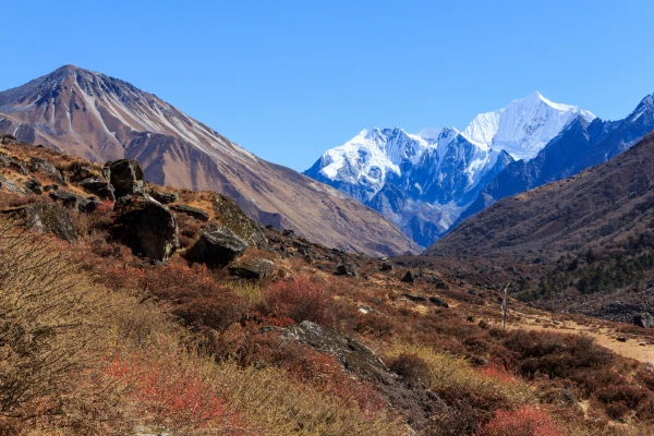 Best Season for Langtang Valley Trek