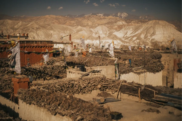 New $50 Upper Mustang Permit