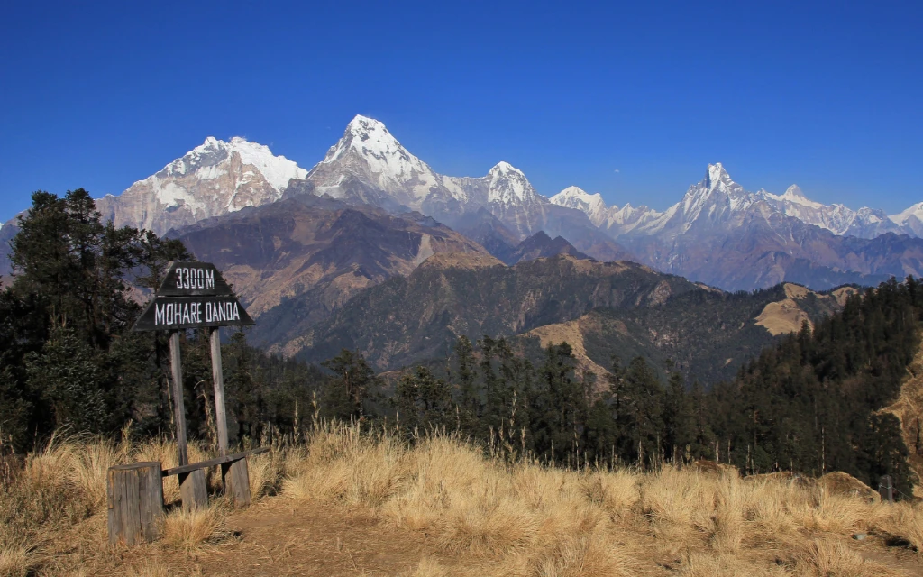 Mohare Danda Trek