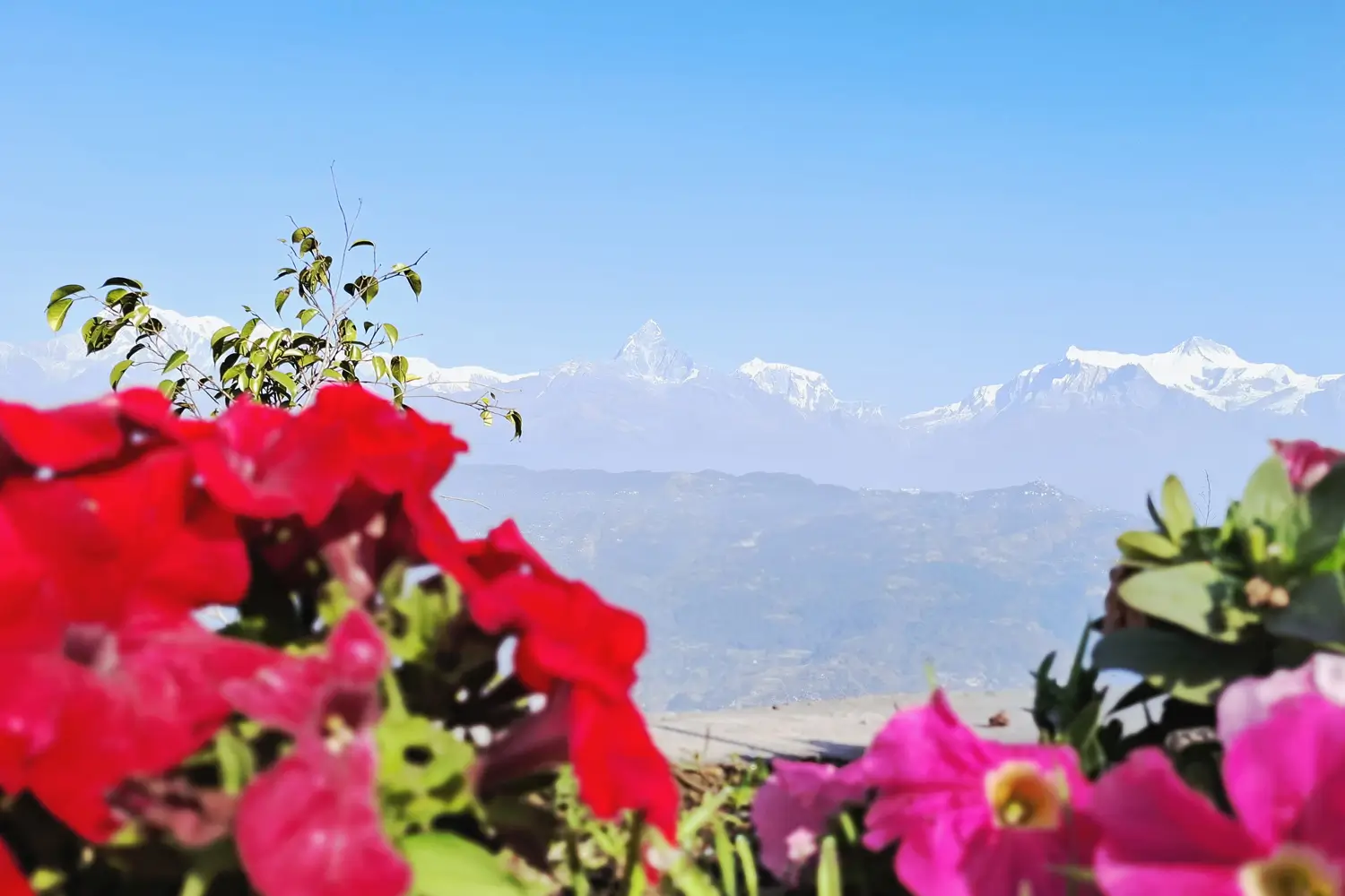 Mountain View from Pumdikot