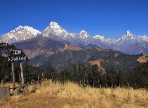Mohare Danda Trek